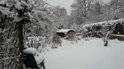 IMG-20170131-WA0002.jpeg