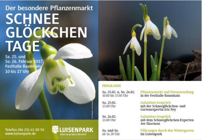 Schneeglöckchentage Flyer.JPG
