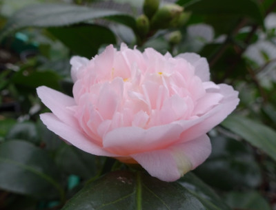 DSC04314.jpg