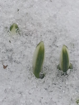 20170209_084822.jpg