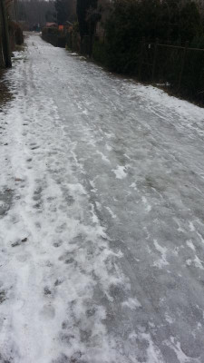 IMG-20170210-WA0001.jpeg