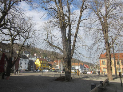IMG_8507.JPG