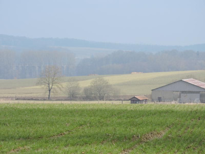 DSCN6377.JPG