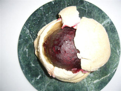 P1050614.JPG