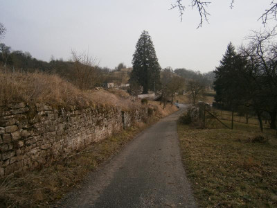 Geigersberg Ochsenbach 002.JPG