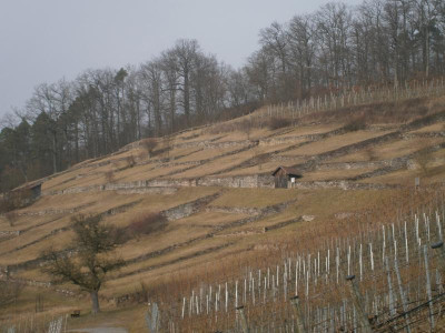 Geigersberg Ochsenbach 016.JPG