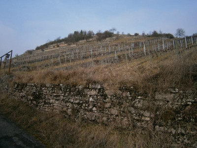 Geigersberg Ochsenbach 001.JPG