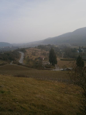 Geigersberg Ochsenbach 053.JPG