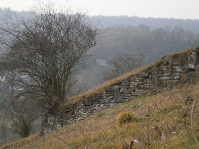 Geigersberg Ochsenbach 050.JPG