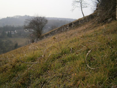 Geigersberg Ochsenbach 052.JPG