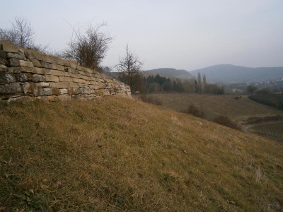 Geigersberg Ochsenbach 045.JPG