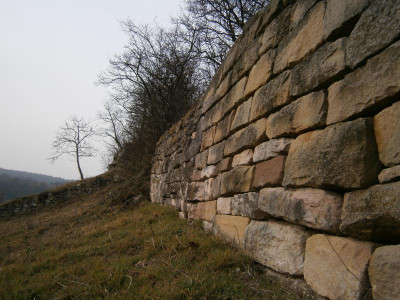 Geigersberg Ochsenbach 048.JPG
