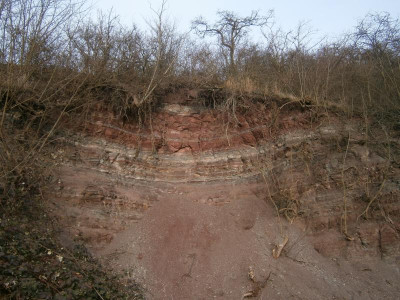 Geigersberg Ochsenbach 062.JPG