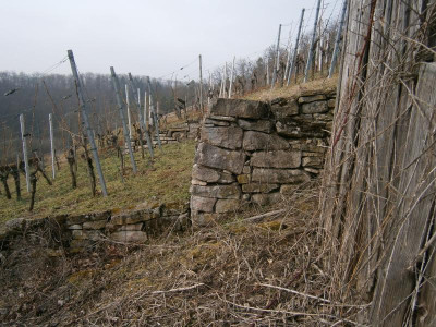Geigersberg Ochsenbach 028.JPG