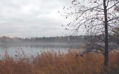 Luwerweiher-2.jpg