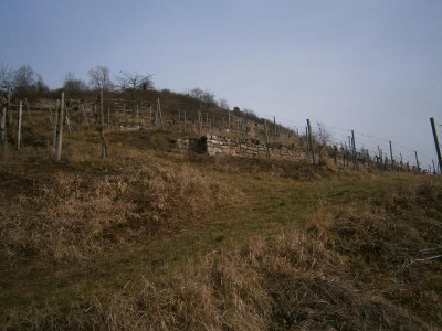 Geigersberg Ochsenbach 018.JPG