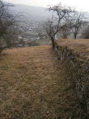 Geigersberg Ochsenbach 031.JPG