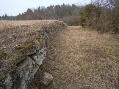 Geigersberg Ochsenbach 032.JPG