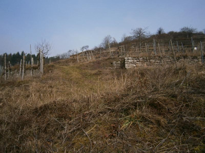 Geigersberg Ochsenbach 013.JPG