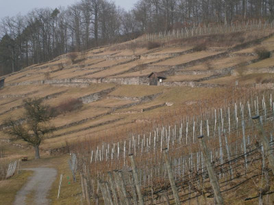Geigersberg Ochsenbach 017.JPG
