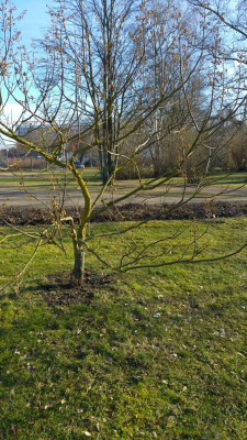 20170216_103940.jpg