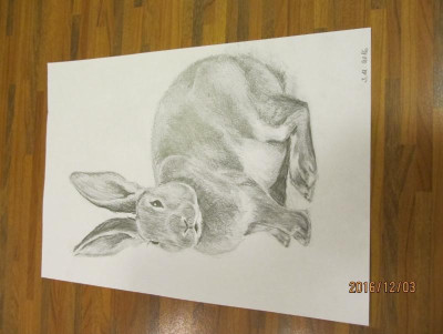 hase.jpg
