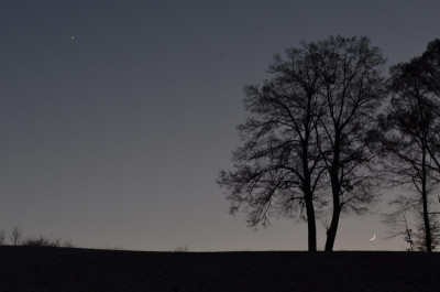 DSC_1388.jpg