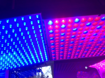 LED-Pflanzenbeleuchtung.JPG