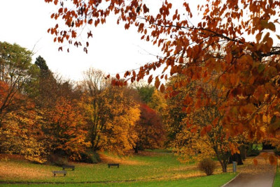 Indian-Summer-boga.jpg