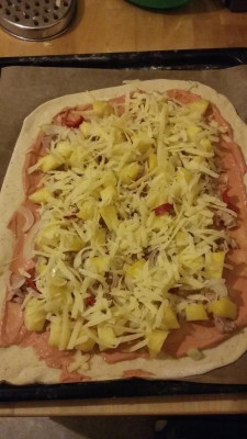 Thunfischpizzabor.jpg