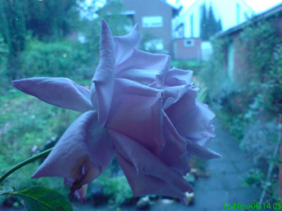 tarde_gris_farben.JPG