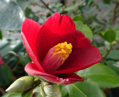 DSC04350.jpg