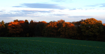 Ein-Sonnenstrahl-k.jpg