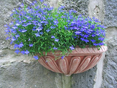 Blaue_Serie_1.jpg