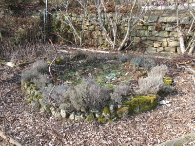 Kraterbeet 20170215_02.jpg