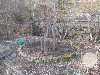 Kraterbeet 20170215_05.jpg
