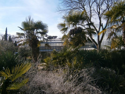 Mannheim Luisenpark 003.JPG