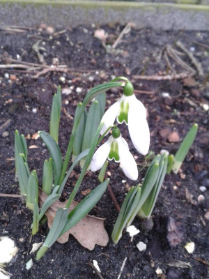 20170227_115433.jpg