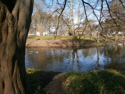 Mannheim Luisenpark 031.JPG