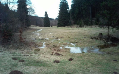riowohlkopf.jpg