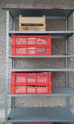 Lageräpfel nördlich Haus.jpg