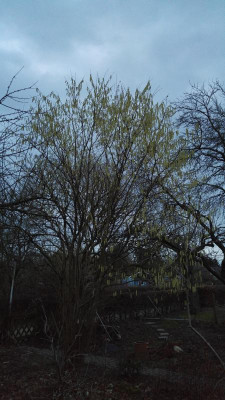 20170228_180147.jpg