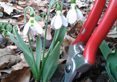 20170301_152556-1.jpg