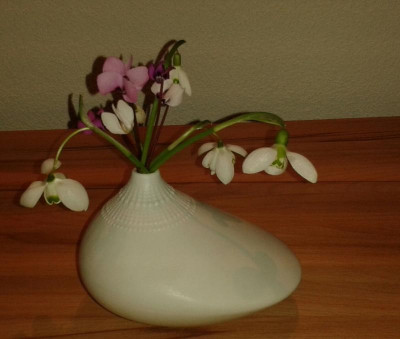 20170228_164215-1-1.jpg
