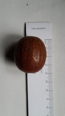20170210_075055.jpg