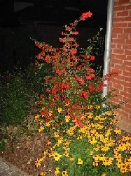 Herbst_111.jpg