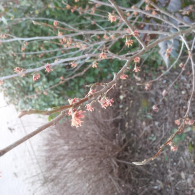 IMG_20170302_180450.jpg