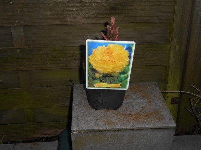 DSCN1178.JPG