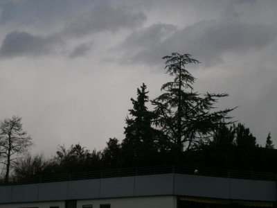 feuerbach 003.JPG
