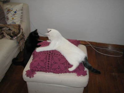 tilly_und_louis.jpg